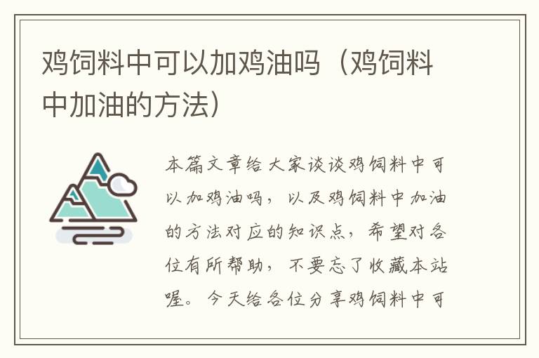 雞飼料中可以加雞油嗎(雞飼料中加油的方法)