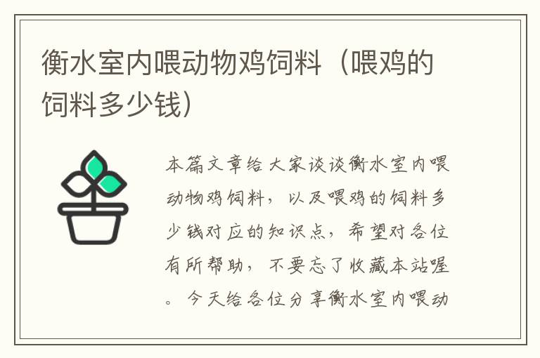 衡水室內(nèi)喂動(dòng)物雞飼料(喂雞的飼料多少錢)