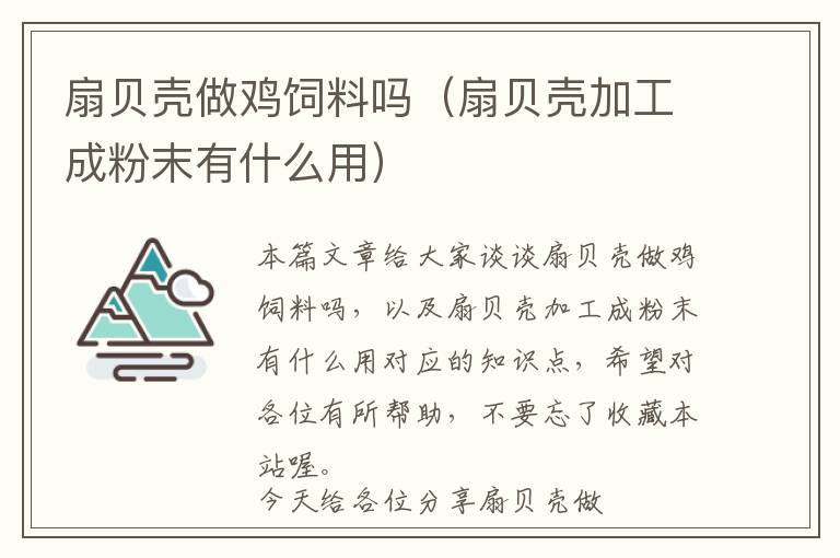 扇貝殼做雞飼料嗎(扇貝殼加工成粉末有什么用)