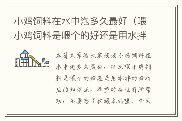 小雞飼料在水中泡多久最好(喂小雞飼料是喂個的好還是用水拌的好)
