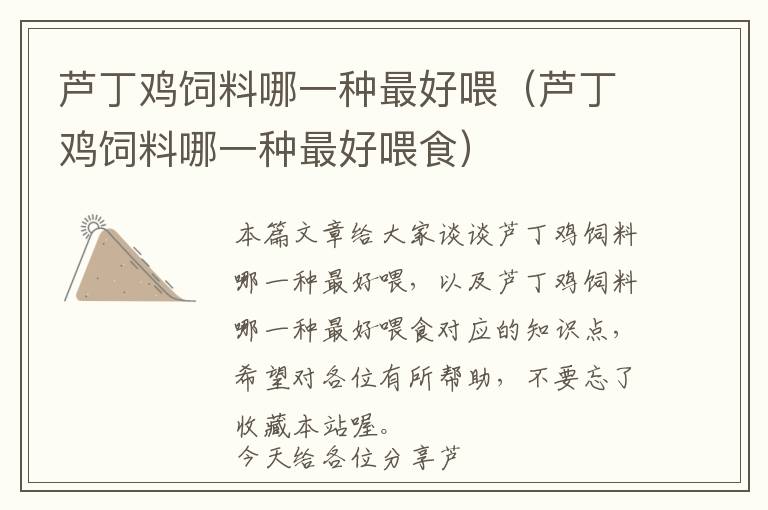 蘆丁雞飼料哪一種最好喂(蘆丁雞飼料哪一種最好喂食)