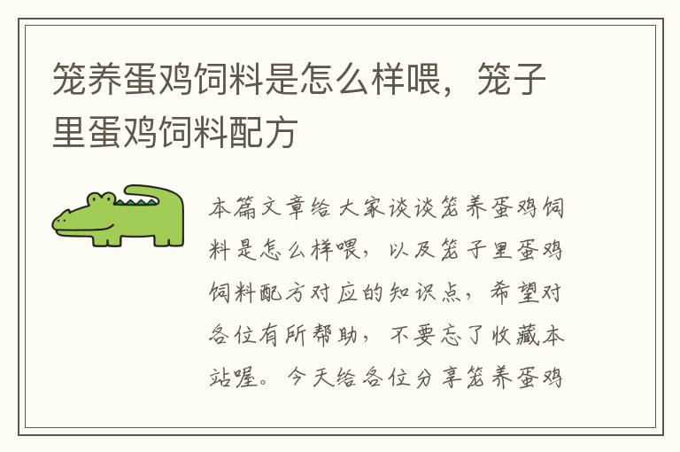 籠養(yǎng)蛋雞飼料是怎么樣喂，籠子里蛋雞飼料配方