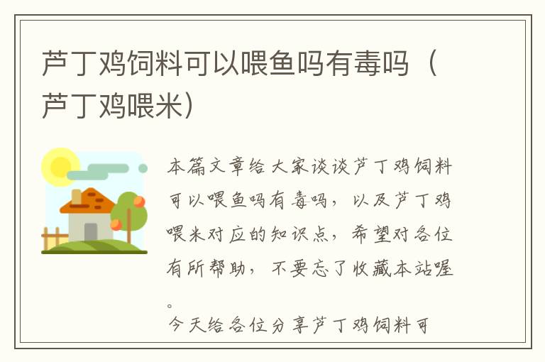 蘆丁雞飼料可以喂魚嗎有毒嗎(蘆丁雞喂米)