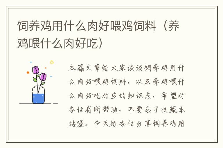 飼養(yǎng)雞用什么肉好喂雞飼料（養(yǎng)雞喂什么肉好吃）