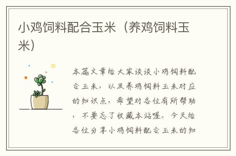 小雞飼料配合玉米(養(yǎng)雞飼料玉米)