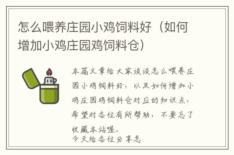 怎么喂養(yǎng)莊園小雞飼料好(如何增加小雞莊園雞飼料倉)