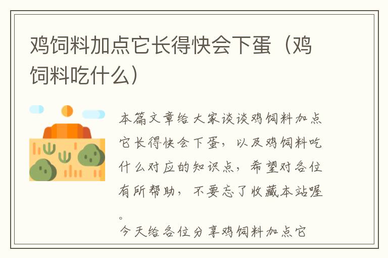 雞飼料加點(diǎn)它長得快會下蛋（雞飼料吃什么）