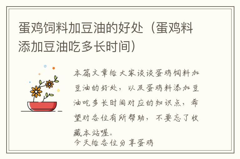 蛋雞飼料加豆油的好處（蛋雞料添加豆油吃多長時間）