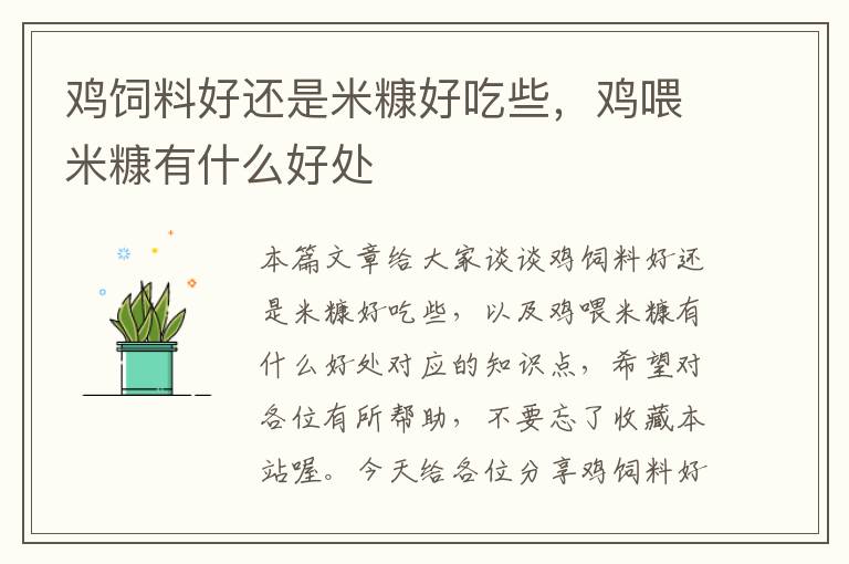 雞飼料好還是米糠好吃些，雞喂米糠有什么好處