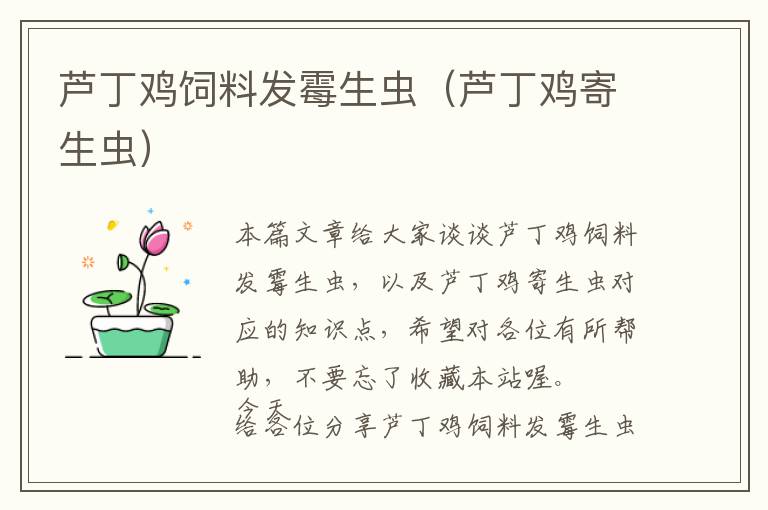 蘆丁雞飼料發(fā)霉生蟲(蘆丁雞寄生蟲)