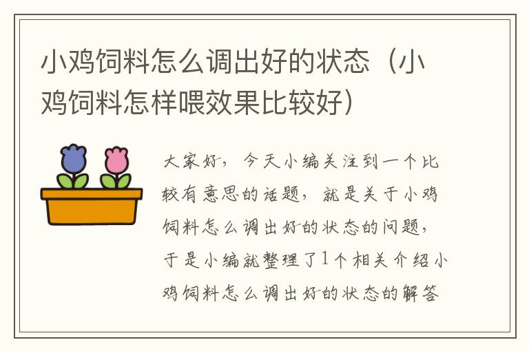 小雞飼料怎么調(diào)出好的狀態(tài)(小雞飼料怎樣喂效果比較好)