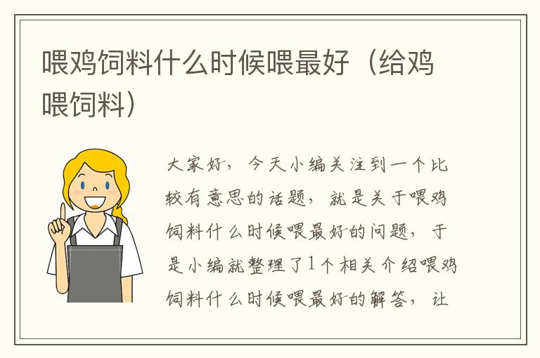 喂雞飼料什么時候喂最好(給雞喂飼料)