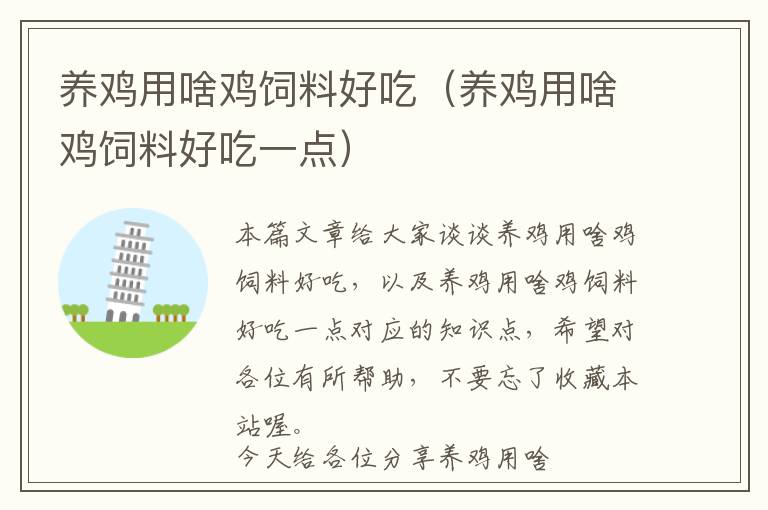 養(yǎng)雞用啥雞飼料好吃(養(yǎng)雞用啥雞飼料好吃一點(diǎn))