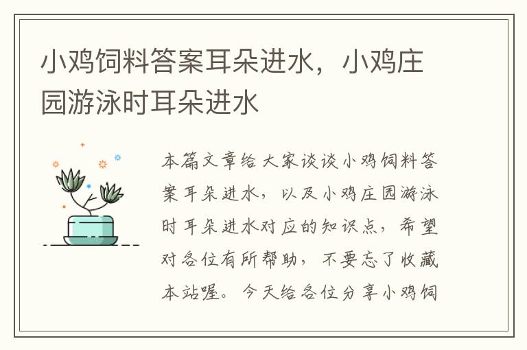 小雞飼料答案耳朵進(jìn)水，小雞莊園游泳時(shí)耳朵進(jìn)水