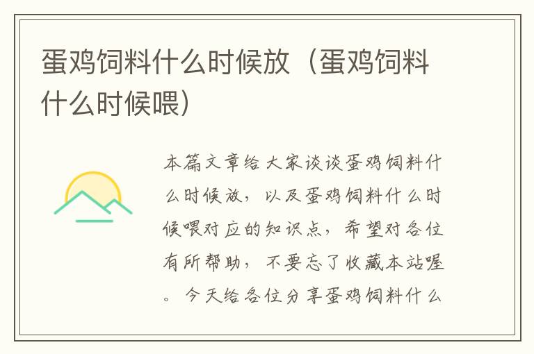 蛋雞飼料什么時候放(蛋雞飼料什么時候喂)