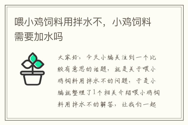喂小雞飼料用拌水不，小雞飼料需要加水嗎