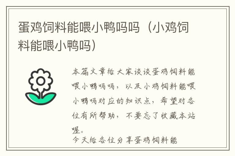 蛋雞飼料能喂小鴨嗎嗎(小雞飼料能喂小鴨嗎)