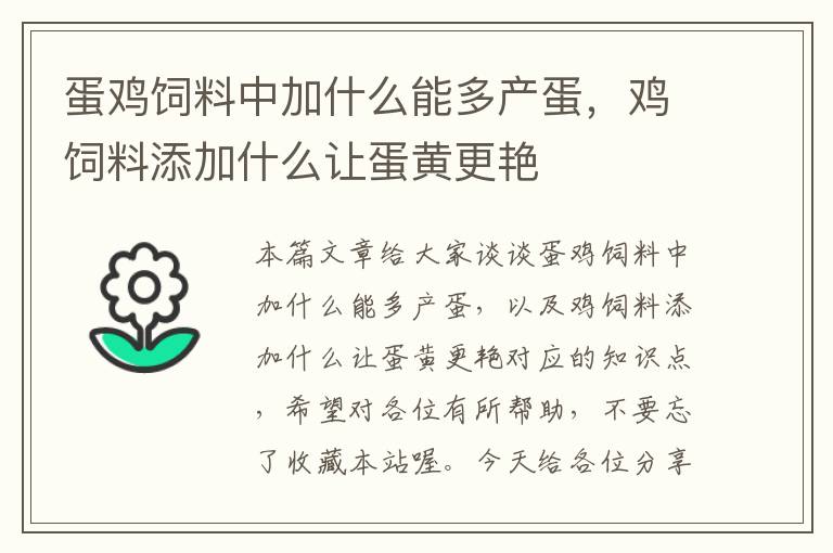蛋雞飼料中加什么能多產(chǎn)蛋,雞飼料添加什么讓蛋黃更艷