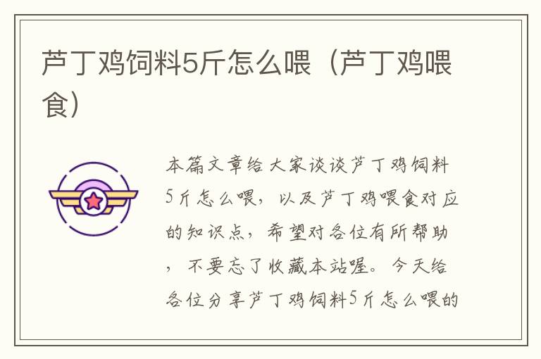 蘆丁雞飼料5斤怎么喂(蘆丁雞喂食)