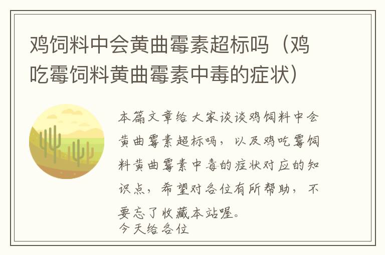 雞飼料中會黃曲霉素超標(biāo)嗎（雞吃霉飼料黃曲霉素中毒的癥狀）