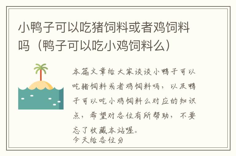 小鴨子可以吃豬飼料或者雞飼料嗎（鴨子可以吃小雞飼料么）