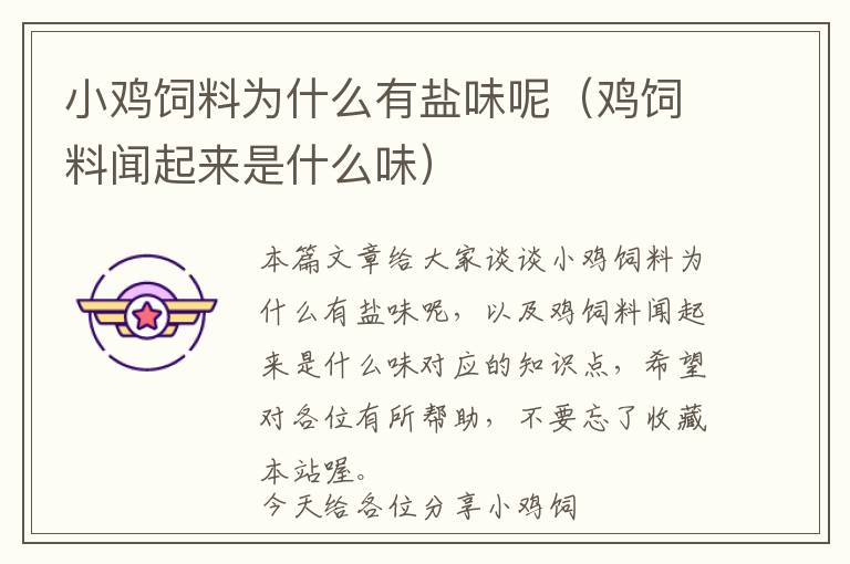 小雞飼料為什么有鹽味呢(雞飼料聞起來是什么味)