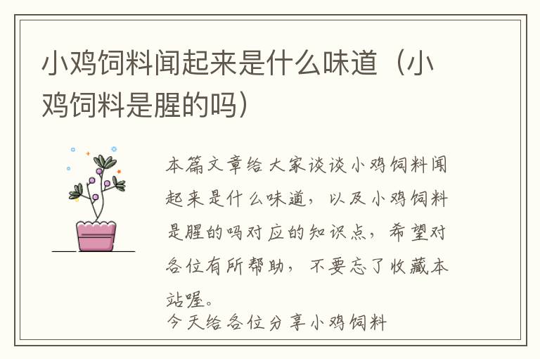 小雞飼料聞起來(lái)是什么味道（小雞飼料是腥的嗎）