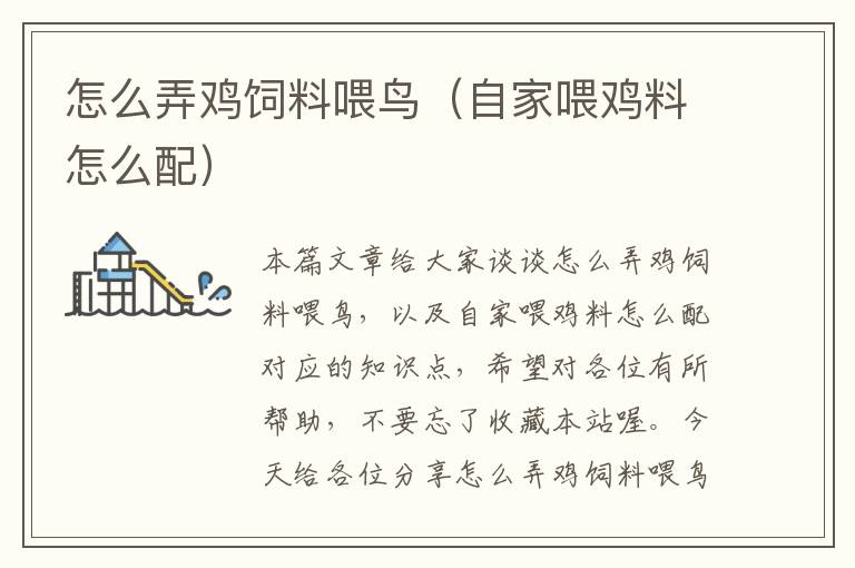 怎么弄雞飼料喂鳥(自家喂雞料怎么配)