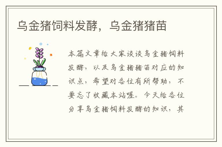 烏金豬飼料發(fā)酵，烏金豬豬苗