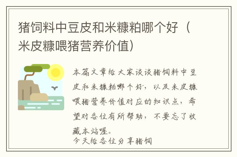 豬飼料中豆皮和米糠粕哪個(gè)好（米皮糠喂豬營養(yǎng)價(jià)值）