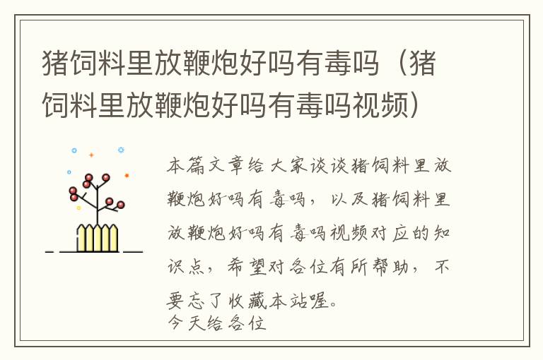豬飼料里放鞭炮好嗎有毒嗎（豬飼料里放鞭炮好嗎有毒嗎視頻）