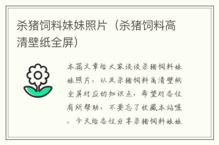 殺豬飼料妹妹照片(殺豬飼料高清壁紙全屏)