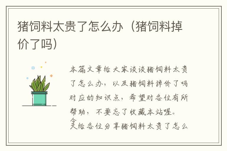 豬飼料太貴了怎么辦（豬飼料掉價(jià)了嗎）