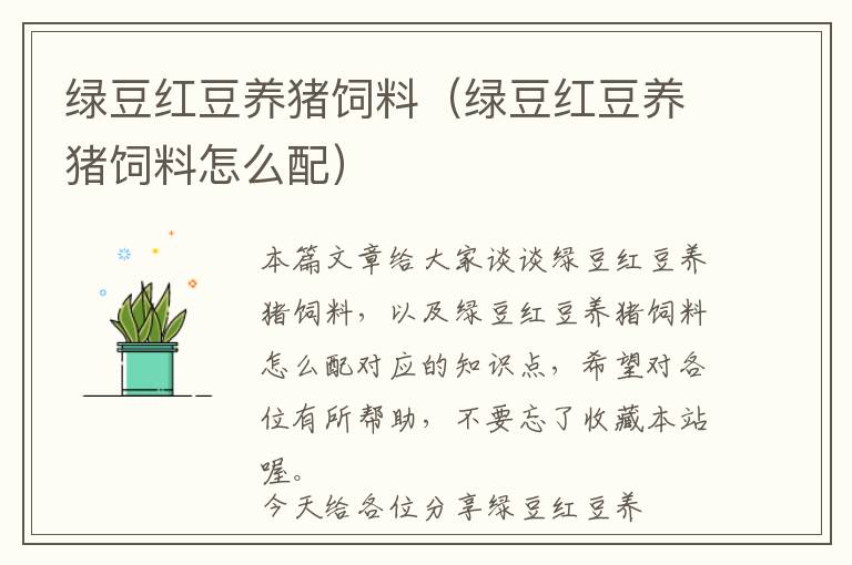 綠豆紅豆養(yǎng)豬飼料（綠豆紅豆養(yǎng)豬飼料怎么配）