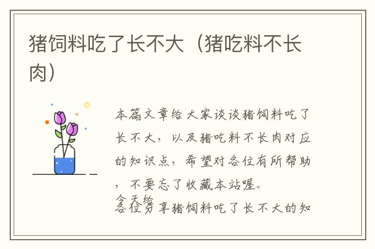 豬飼料吃了長不大(豬吃料不長肉)