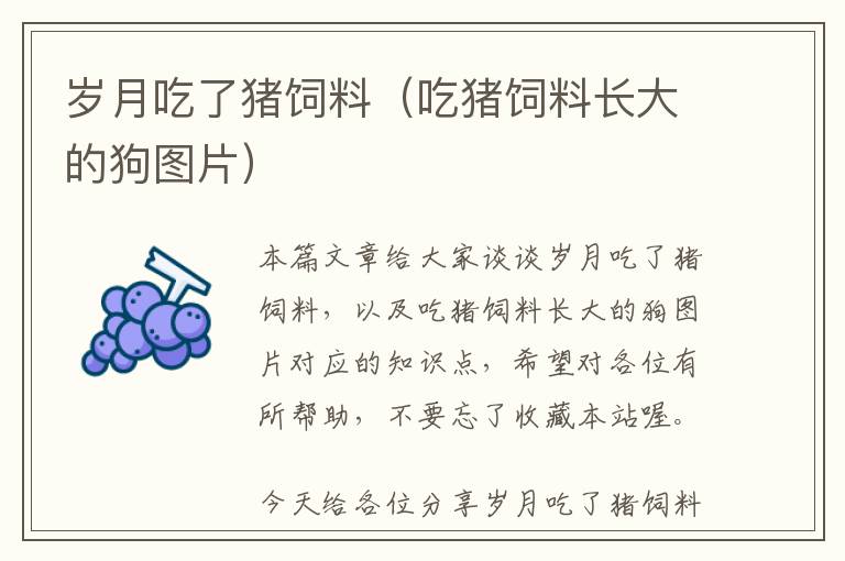 歲月吃了豬飼料(吃豬飼料長(zhǎng)大的狗圖片)