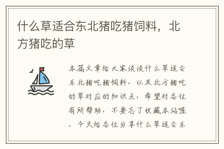 什么草適合東北豬吃豬飼料，北方豬吃的草