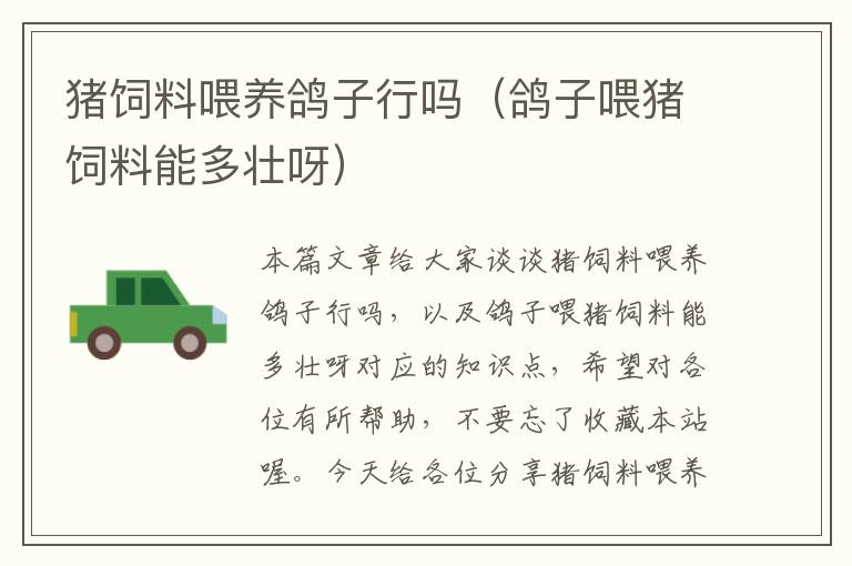 豬飼料喂養(yǎng)鴿子行嗎(鴿子喂豬飼料能多壯呀)