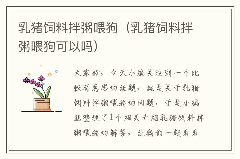 乳豬飼料拌粥喂狗(乳豬飼料拌粥喂狗可以嗎)