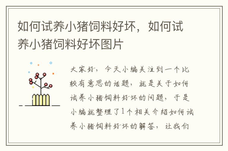 如何試養(yǎng)小豬飼料好壞,如何試養(yǎng)小豬飼料好壞圖片