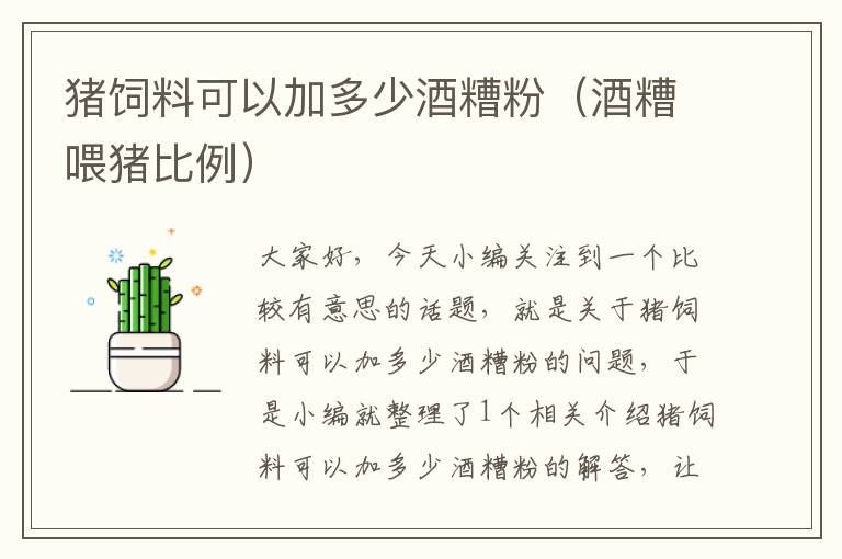 豬飼料可以加多少酒糟粉(酒糟喂豬比例)