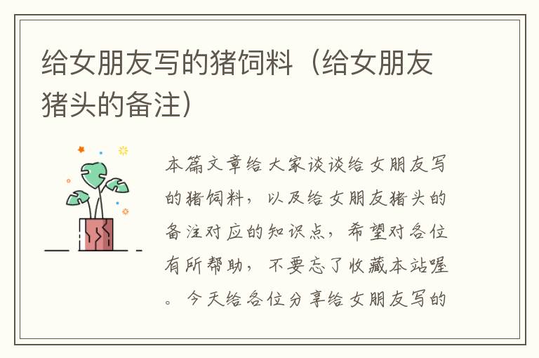 給女朋友寫的豬飼料(給女朋友豬頭的備注)