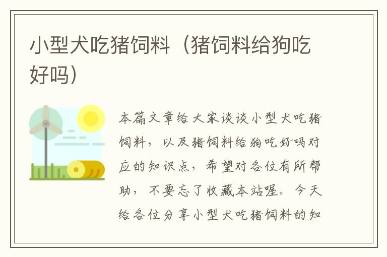 小型犬吃豬飼料(豬飼料給狗吃好嗎)