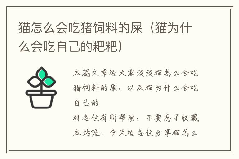 貓?jiān)趺磿?huì)吃豬飼料的屎(貓為什么會(huì)吃自己的粑粑)