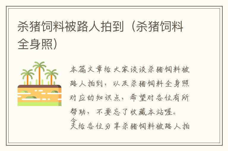 殺豬飼料被路人拍到（殺豬飼料全身照）