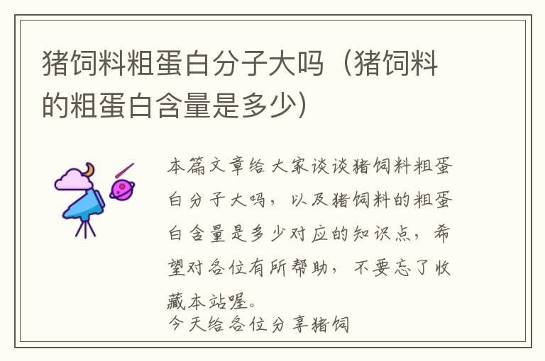 豬飼料粗蛋白分子大嗎（豬飼料的粗蛋白含量是多少）