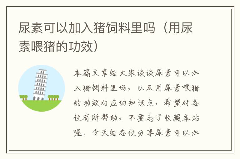 尿素可以加入豬飼料里嗎(用尿素喂豬的功效)