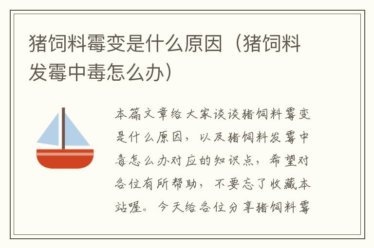 豬飼料霉變是什么原因(豬飼料發(fā)霉中毒怎么辦)