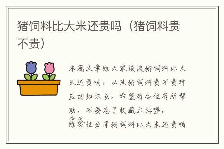 豬飼料比大米還貴嗎(豬飼料貴不貴)