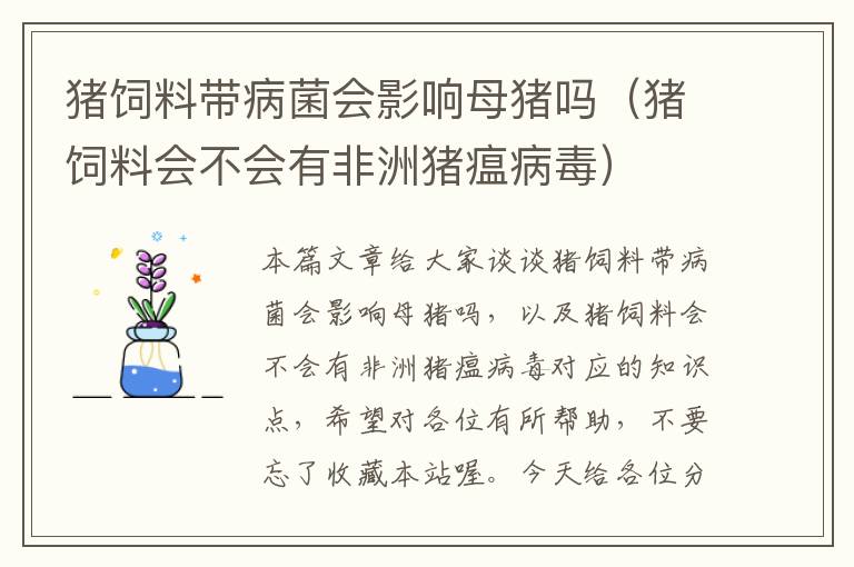 豬飼料帶病菌會影響母豬嗎(豬飼料會不會有非洲豬瘟病毒)